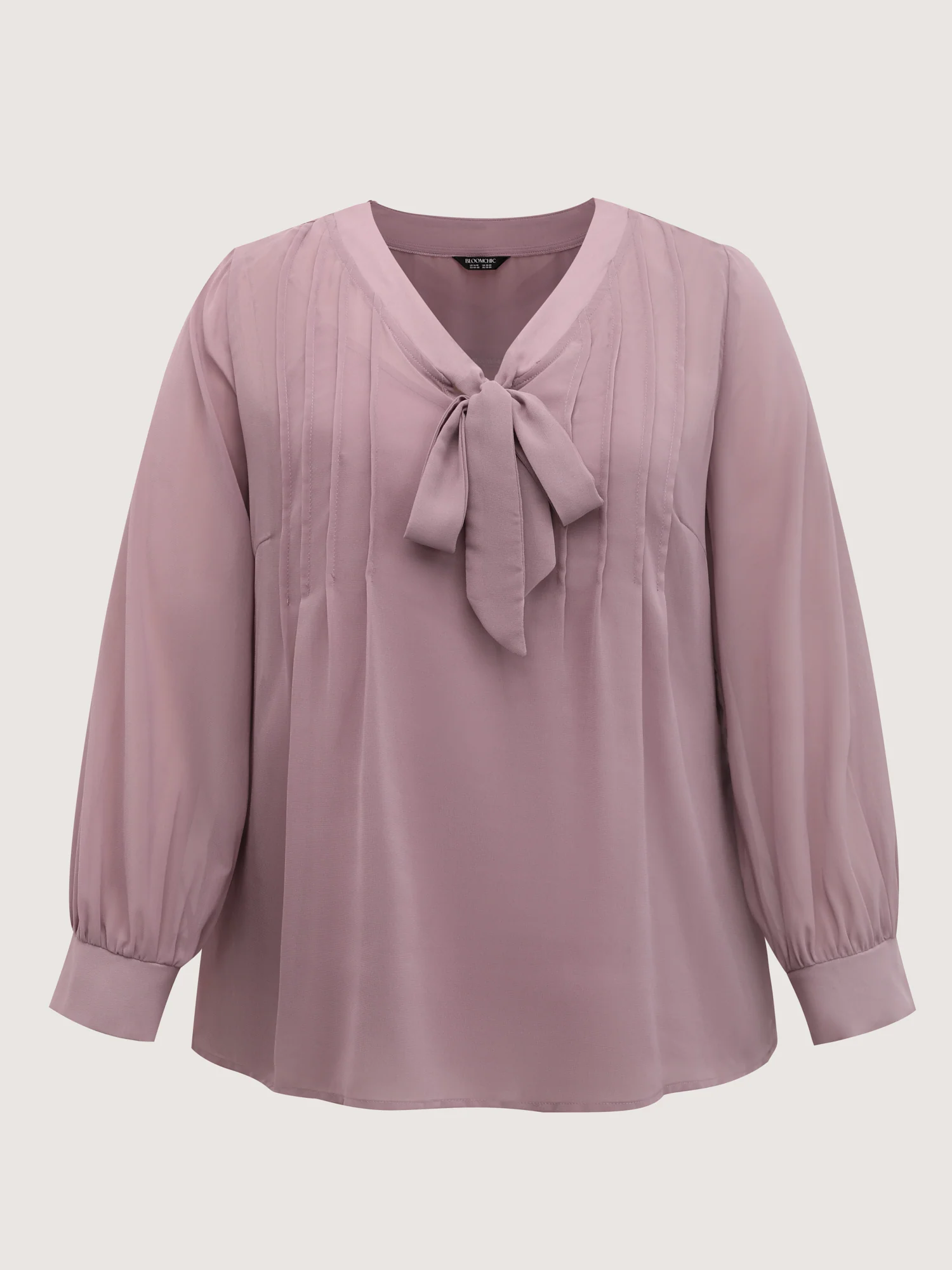 Toothpick Pleats Neck-Tie Sheer Blouse
